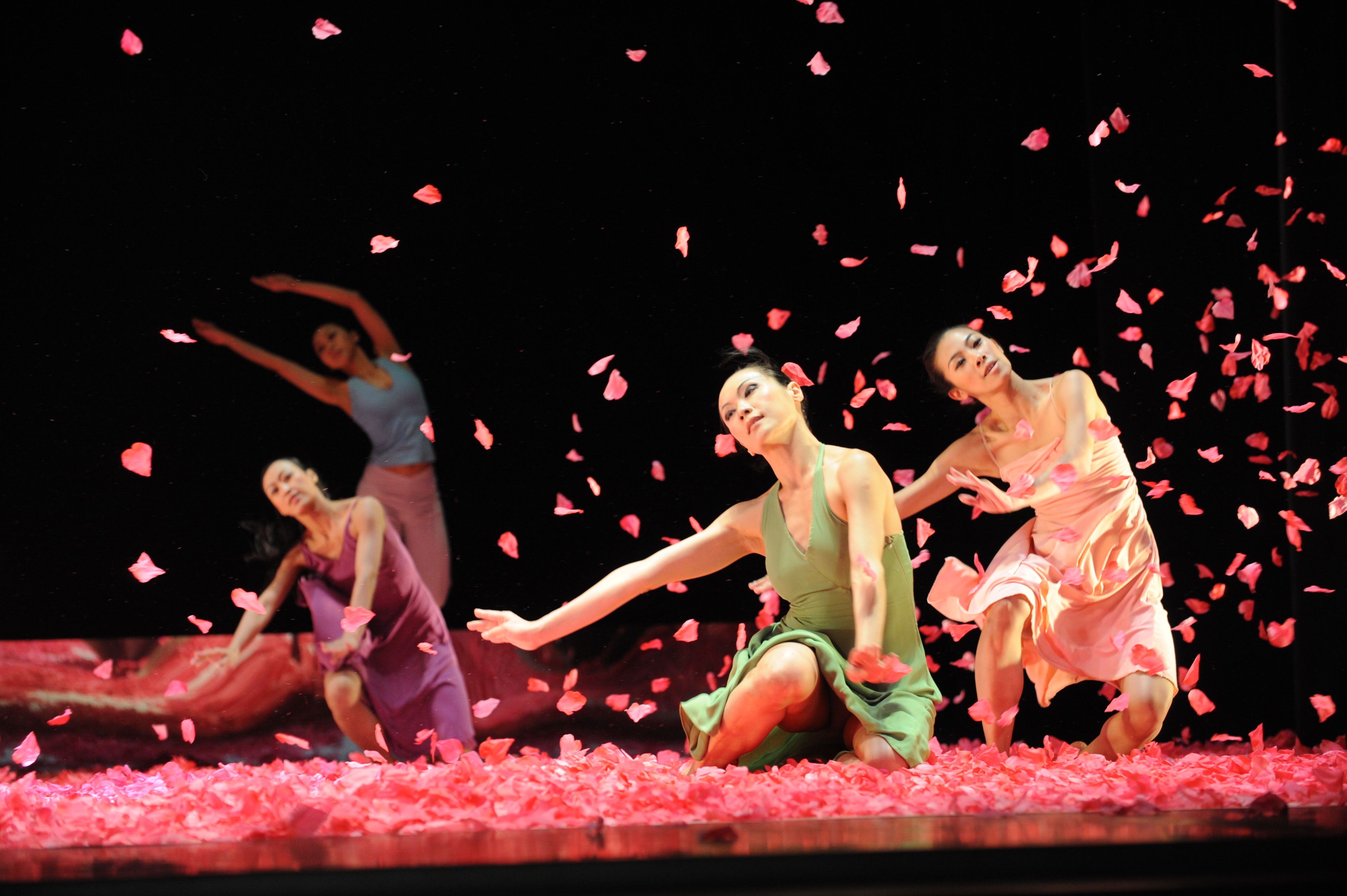 Спектакль для 5 класса. Театр танца Тайваня. Культура цветы театр. Люди с цветами в театре. Фестиваль весь день театр.