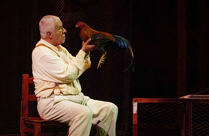 NO ONE WRITES TO THE COLONEL